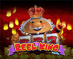 Reel King Mega